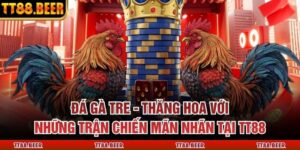 Đá Gà Tre - Thăng Hoa với Những Trận Chiến Mãn Nhãn Tại TT88